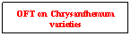 Text Box: OFT on Chrysanthemum varieties
